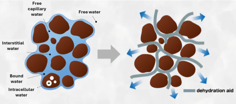 Diagram showing Flowdehy mechanism using fiber-assisted capillary action to release trapped water and improve cake dryness.